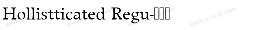 Hollistticated Regu字体转换